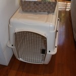 レジーナリゾート富士 - クレートも完備