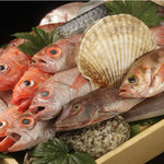 Various fresh fish