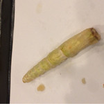 天ぷら はせ川 - 