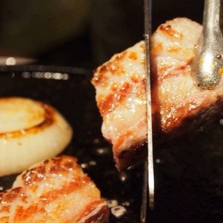 イベリコ豚おんどる焼 裏渋屋 旧店名 イベリコ豚 石焼ダイニング おんどる 神泉 焼肉 ネット予約可 食べログ
