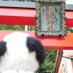 Furuhashi Shuzou - 稲成神社の鳥居。
      でもここもまだ神社の入り口付近なのだ～