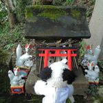 Furuhashi Shuzou - 途中にちっちゃな稲成神社が・・・
      
      ちびつぬ「ここもお参りしましょう」