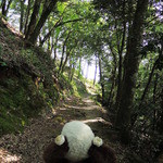 Furuhashi Shuzou - リフトを降りた後は山道をひたすら歩きます。
      慣れない山道は大変だけど、
      こういう機会ってなかなかないので、
      楽しみながら少しずつ登って行くよ～
       