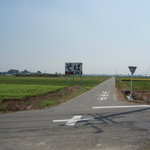 三たて蕎麦 やじま - ここも店の畑なのかな？。大きな看板。