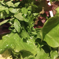 松庵 韓菜房 栄大津通店 - サンパセットの野菜はボリュームタップル