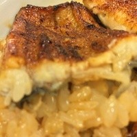 鰻割烹 伊豆栄 本店 - 鰻アップ
