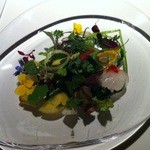 レフェルヴェソンス - 