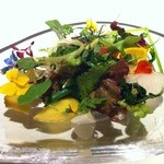 レフェルヴェソンス - 