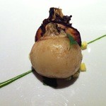 レフェルヴェソンス - 