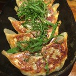 HARENOHI - しそ餃子