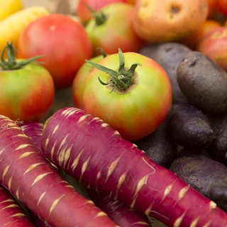 【安心・安全】有機野菜を使用した料理！