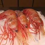 一心鮨 光洋 - メガ牡丹海老