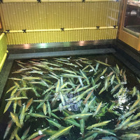 稚加榮 本店 - 