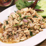 Minced chicken with spicy herbs