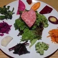 MOTORA  - Bコース　MOTORA特製 前菜のサラダ仕立て