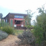 Homeless Garden Project Farm - 