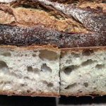 パナデリーヤティグレ - センテーノ