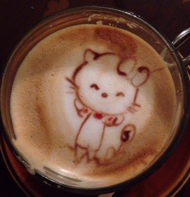 マンチカンズ 旧店名 猫カフェ雫 鎌倉 その他 食べログ