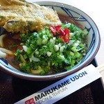 MARUGAME UDON - 料理写真:カレーうどん＋なすの天ぷら