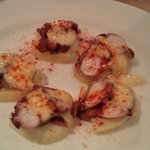 武蔵野カンプス - ジャガイモの？？