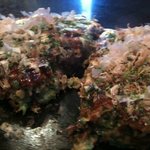 ゆかり - お好み焼きゆかり●すじねぎやきの断面図⑤