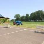 八紘学園 農産物直売所 - 【2016年06月】店頭、緑が相応に広がります。