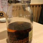 モツの朝立ち - 