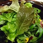 Kakurega Awai - 有機葉物野菜サラダ
