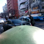 チェリージャム - 