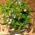 ドンブラボー - 