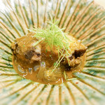 虎白 - 鮑と葛切り201606