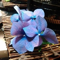 北新地 湯木 本店 - 
