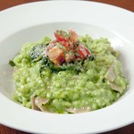 トラットリア アルベロ グランデ