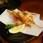 鳥益 - やはり川海老～