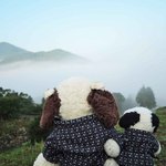 津和野温泉宿　わた屋 - 観光ガイドには載っていない穴場スポットにいろいろ案内してもらったよ。ほとんど地元の人くらいしか知らないところに来られてラッキー
      晴れていればここは津和野の街が一望できる絶景ポイントなんだって