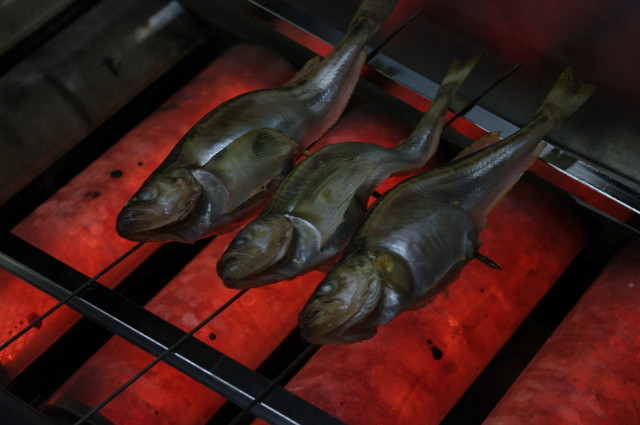 割烹食堂 伊豆菊 - 酒田（日本料理）の写真