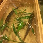 車力門 ちゃわんぶ - 2016.06