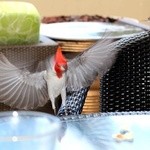 Hyatt Regency Waikiki Beach Resort and Spa - 