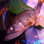 よーかんちゃん - 