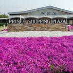 デリフランス - 軽井沢プリンスショッピングプラザ