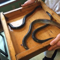 日本料理 梅林 - 