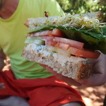 Wildflower Bread Company - 