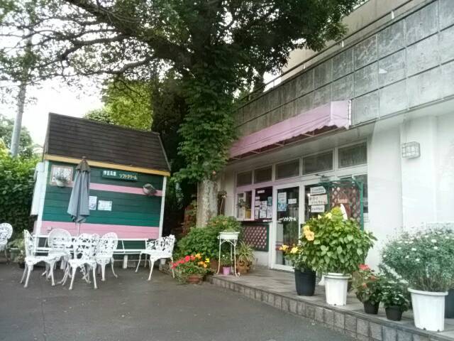 どんぐり name=