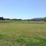 ソラノネ食堂 - 