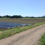 ソラノネ食堂 - 