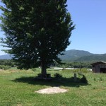 ソラノネ食堂 - 