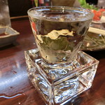 千代の追風 - 2016' 5/26