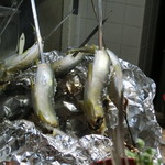 千代の追風 - 炭火でじっくり焼きます