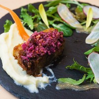 美食ランチコース 