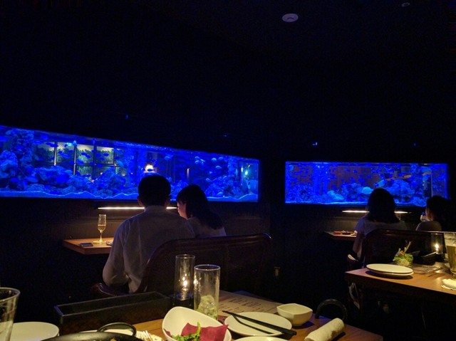 リニューアル 新宿ライム 2nd 新宿三丁目 ダイニングバー 食べログ リニューアル 新宿ライム 2nd 新宿三丁目 ダイニングバー 食べログ